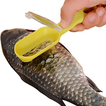 Effortless Fish Cleaning: Scraper, Grater & Brush in One (1 Pc) - Discount Karo