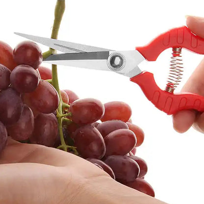 Heavy Duty Stainless Steel Cutter, Non‑slip Trimming Scissors Durable Not Easy To Wear for Gardening Pruning Of Fruit Trees Flowers and Plants (With Plastic Packing) - Discount Karo