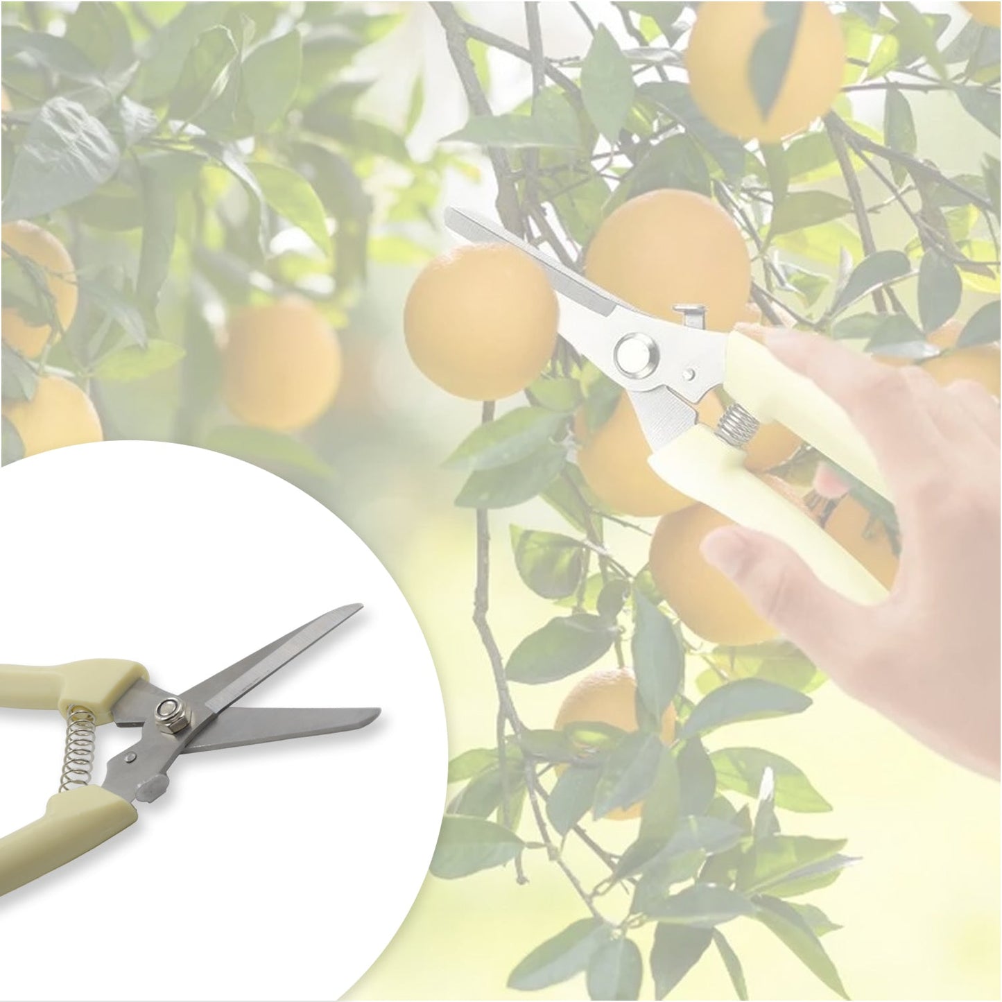 Garden Pruning Shears with Anti-Slip Handle Labor-Saving Fruit Tree Pruning Shears - Discount Karo