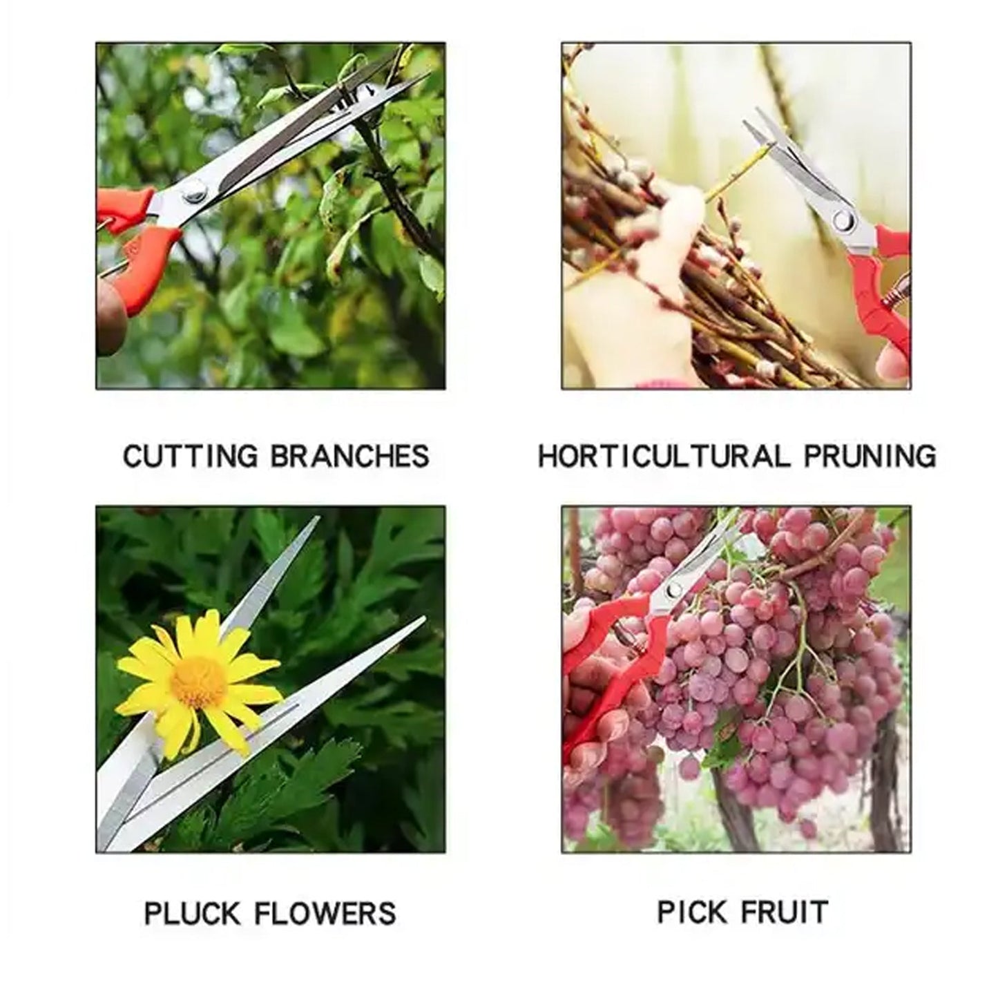 Heavy Duty Stainless Steel Cutter, Non‑slip Trimming Scissors Durable Not Easy To Wear for Gardening Pruning Of Fruit Trees Flowers and Plants (With Plastic Packing) - Discount Karo