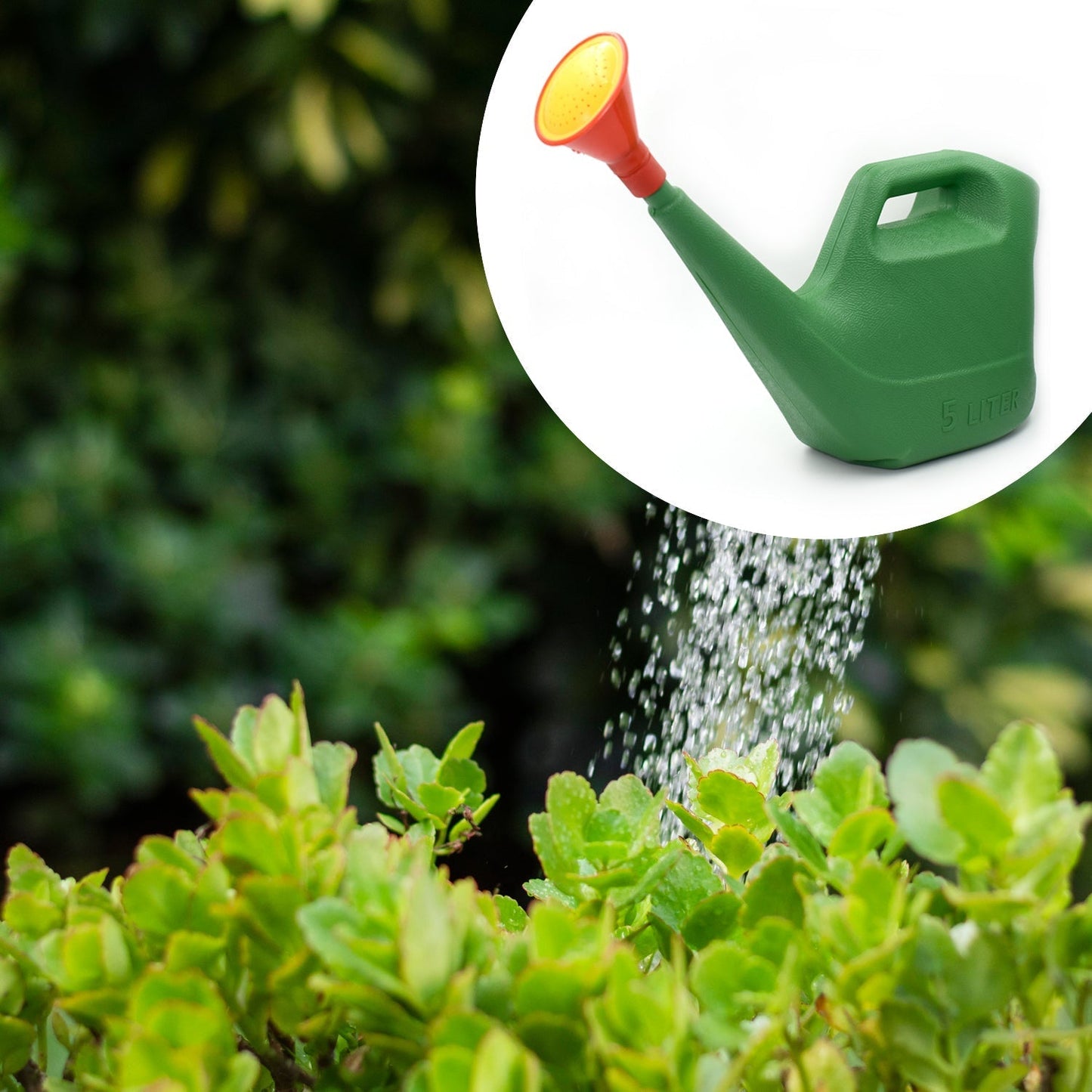 9021 Plastic Watering Can Water Sprayer Sprinkler for Plants Indoor Outdoor Gardening, 5 LTR 