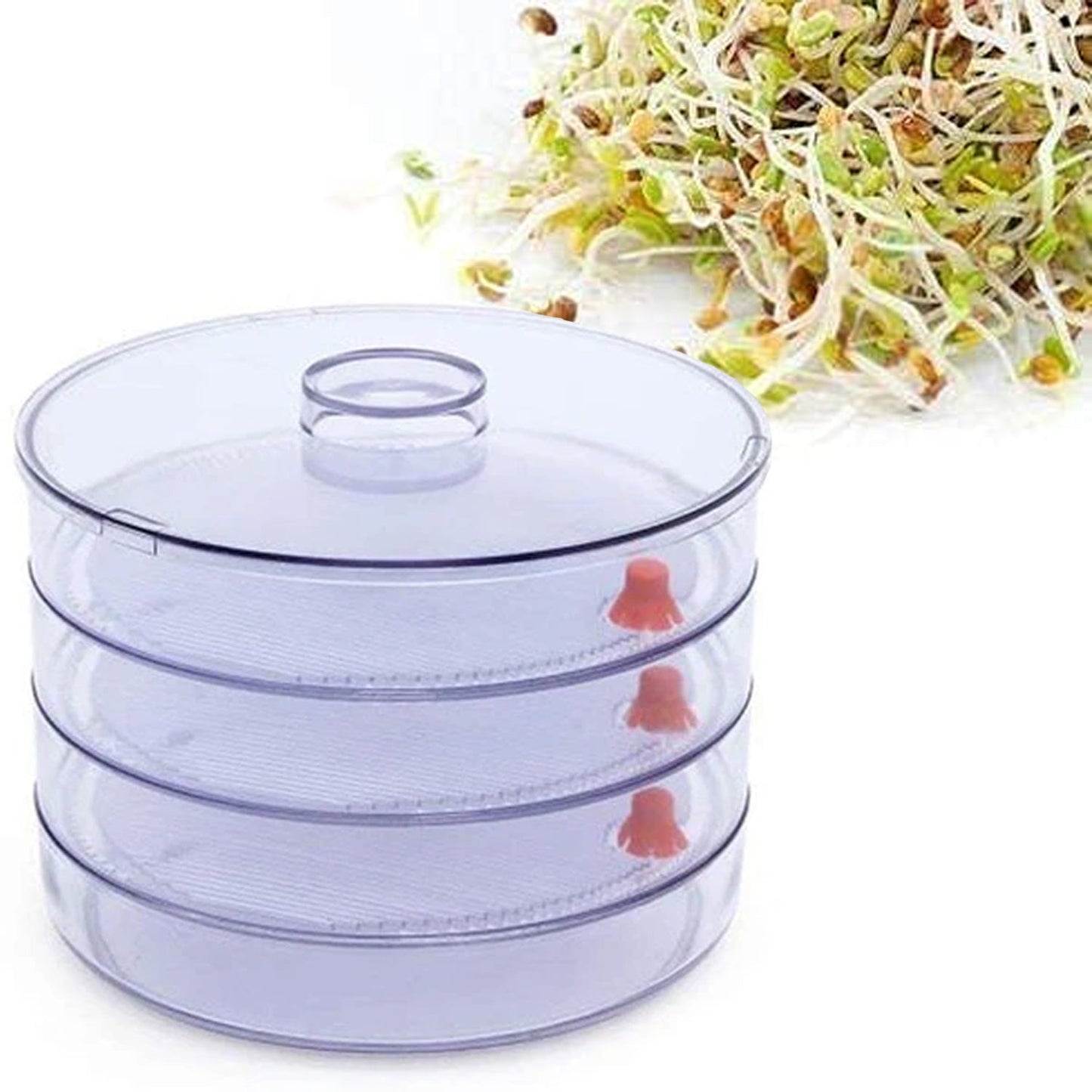 070 Plastic 4 Compartment Sprout Maker, White Discount Karo