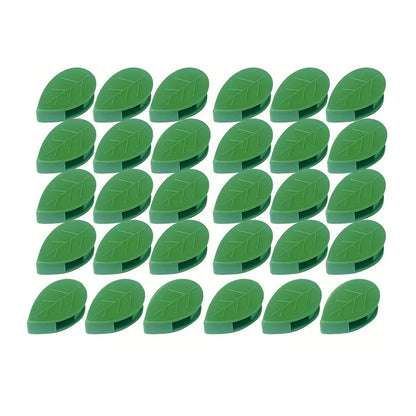 Plant Climbing Wall Fixture Clip Self-Adhesive Hook Vines Traction Invisible Stand Green Plant Clip Garden Wall Clip Plant Support Binding Clip Plants for Indoor Outdoor Decoration (30 Pcs Set) - Discount Karo