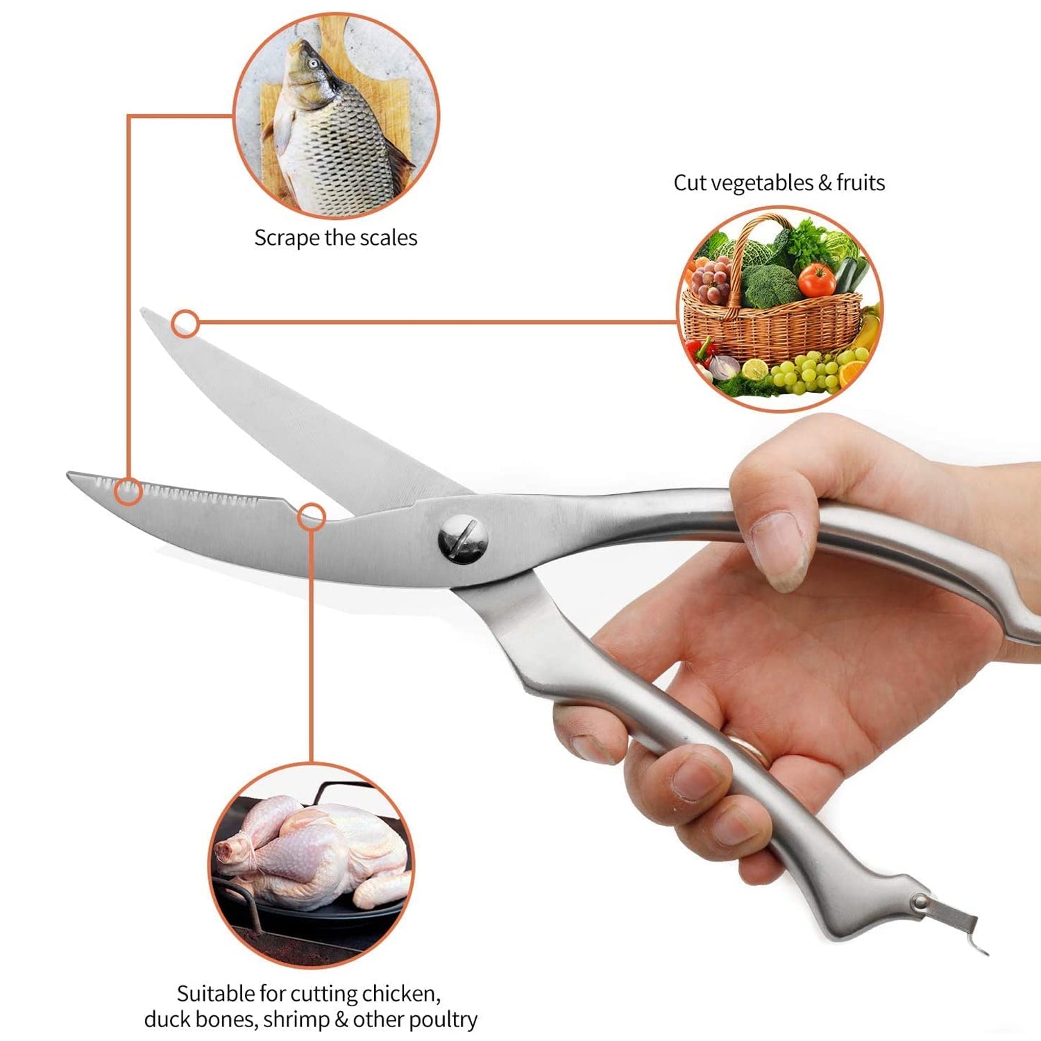 Heavy Duty Stainless Steel Poultry Shears, Premium Ultra Sharp Spring-Loaded Kitchen - Discount Karo