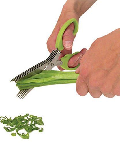 MULTIFUNCTION VEGETABLE STAINLESS STEEL HERBS SCISSOR WITH 5 BLADES - Discount Karo