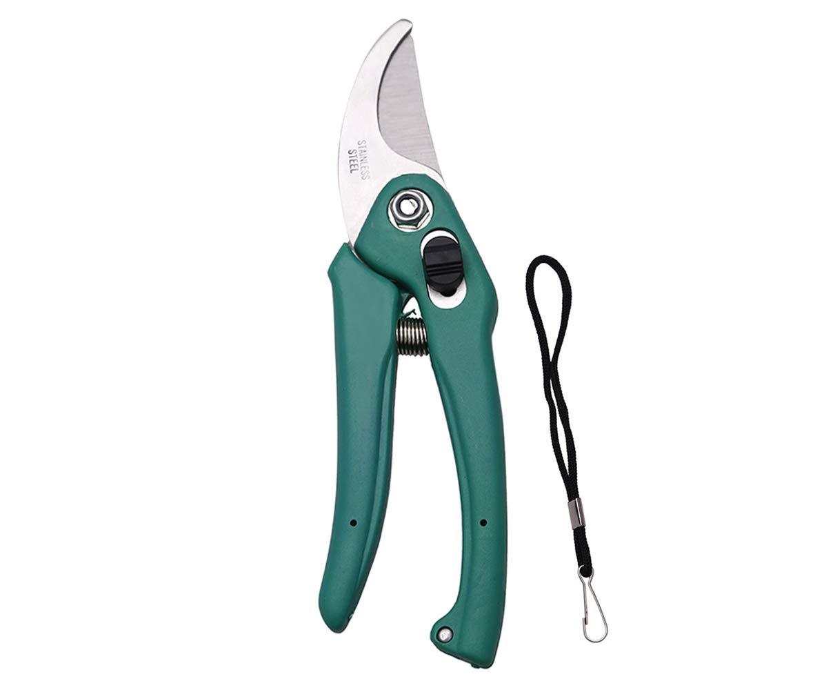 Stainless Steel Garden Scissors - Discount Karo