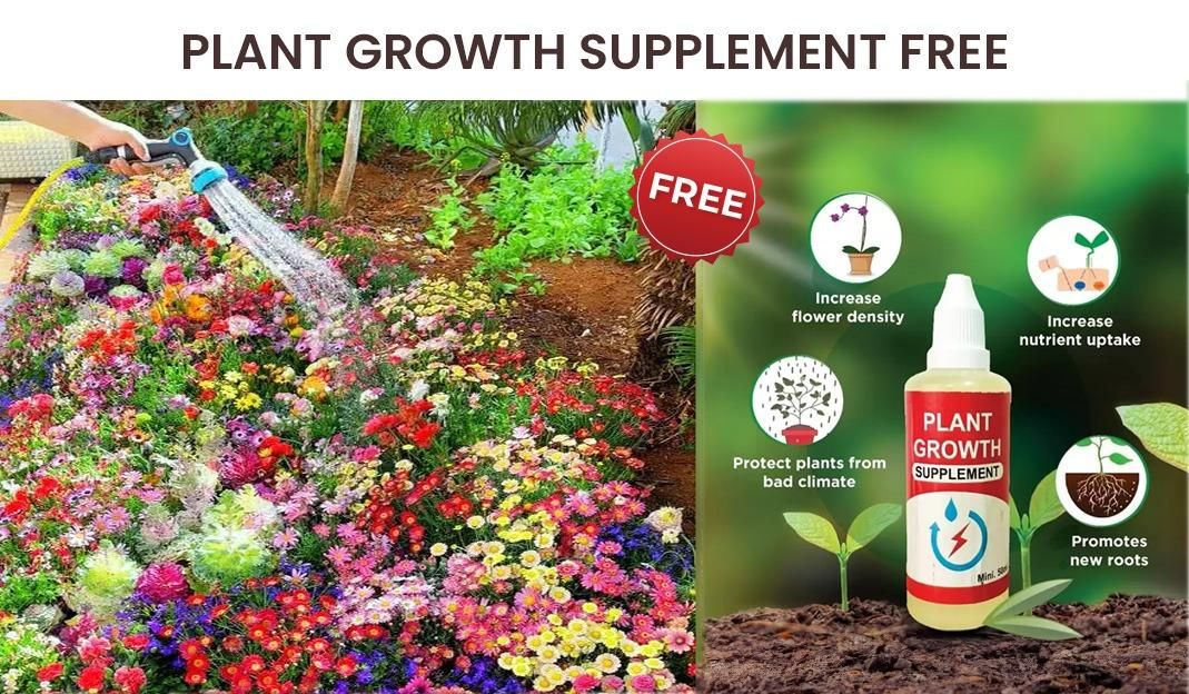 Buy Varieties of Flower Seeds (Pack of 100) And Get Plant Growth Supplement Free - Discount Karo