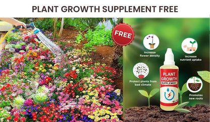 Buy Varieties of Flower Seeds (Pack of 100) And Get Plant Growth Supplement Free - Discount Karo