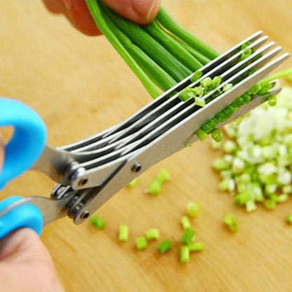 MULTIFUNCTION VEGETABLE STAINLESS STEEL HERBS SCISSOR WITH 5 BLADES - Discount Karo