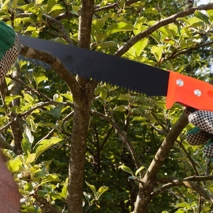 Hand Pruning Saw for Tree Branch Cutter (1 Pc) - Discount Karo