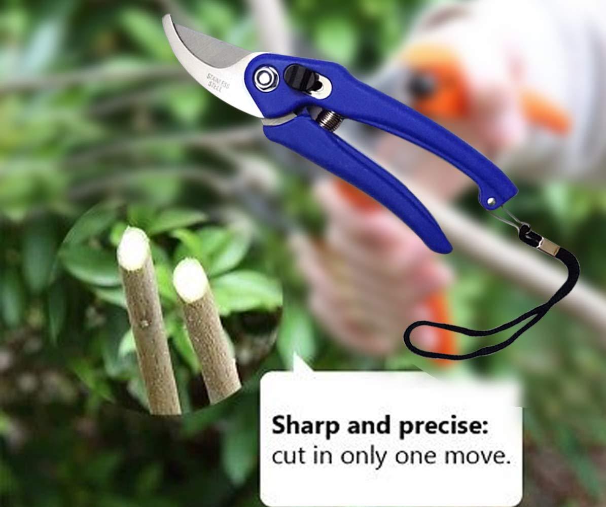 Stainless Steel Garden Scissors - Discount Karo