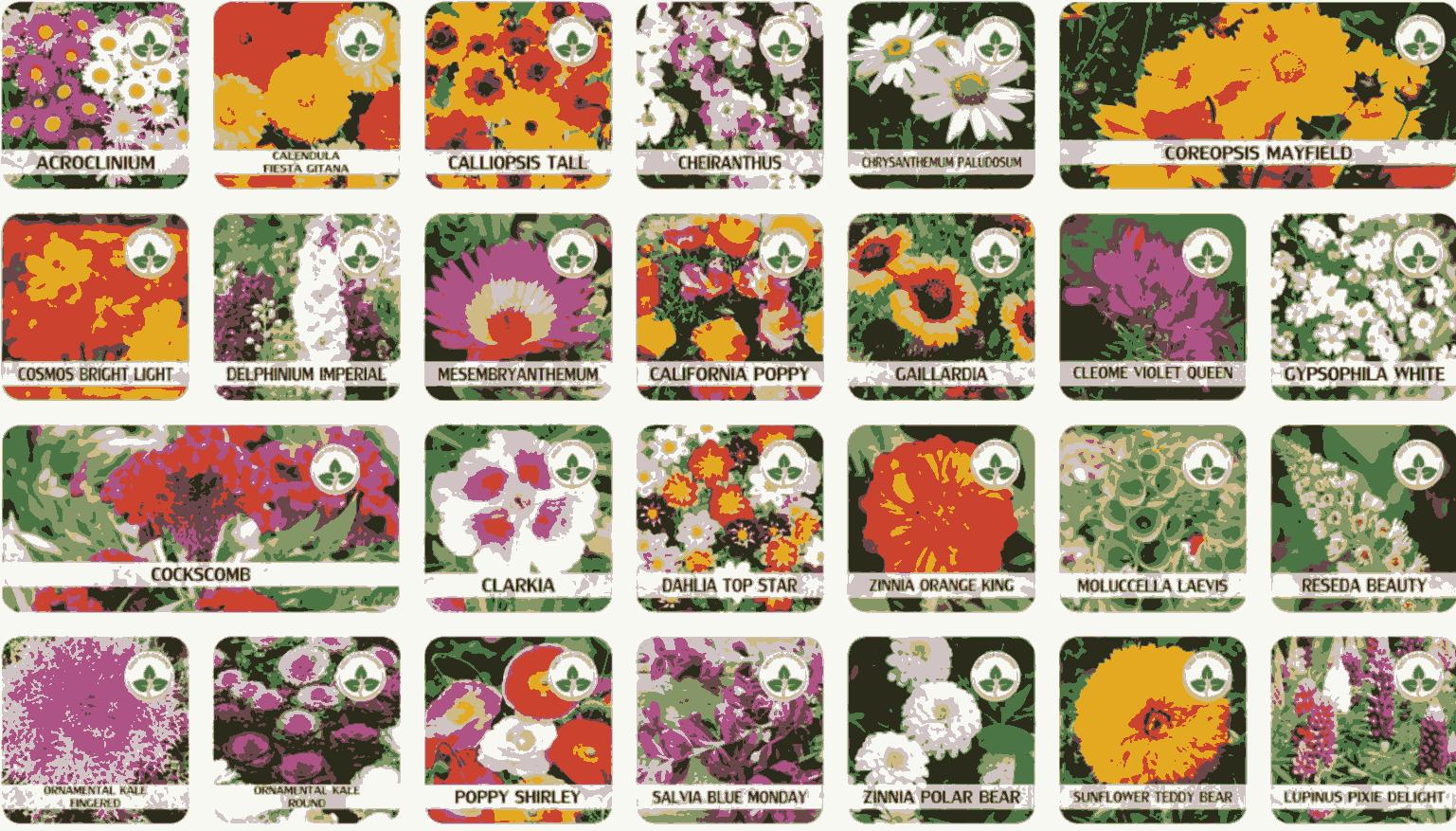 Buy Varieties of Flower Seeds (Pack of 100) And Get Plant Growth Supplement Free - Discount Karo