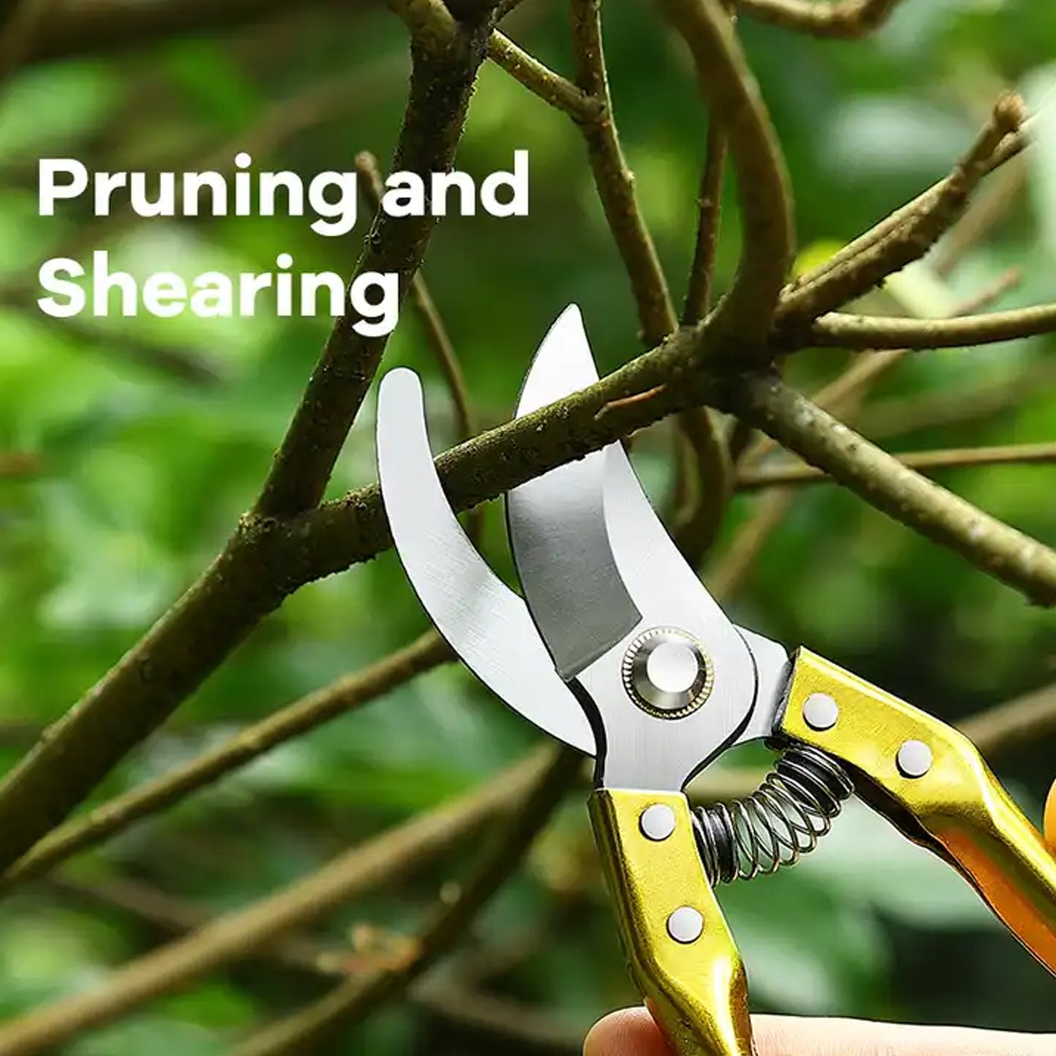 Gardening Tools - Garden Shears Pruners Scissor (1 Pc) - Discount Karo